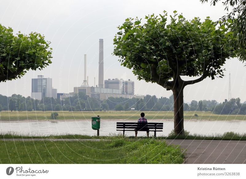 kraftwerk Fabrik Industrie Energiewirtschaft Mensch Mann Erwachsene Umwelt Natur Landschaft Baum Flussufer Düsseldorf Stadtrand Gebäude Schornstein sitzen