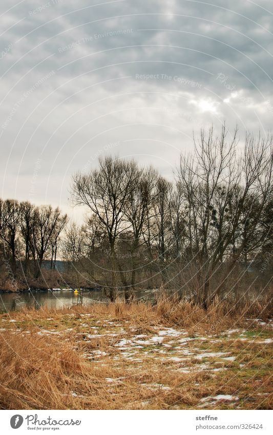 Weihnachten in Schwedt Winter Baum kalt schwedt Kanal Schnee Farbfoto