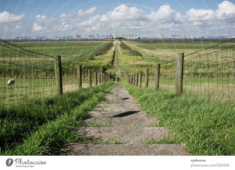 Am Deich Umwelt Natur Landschaft Himmel Sommer Schönes Wetter Wiese Küste Nordsee Meer Treppe Wege & Pfade Schifffahrt Containerschiff Hafen einzigartig