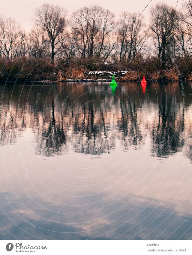 Heulbojen (Winter) Landschaft Wasser Schnee Baum Küste Flussufer trist Boje Farbfoto Außenaufnahme Textfreiraum unten