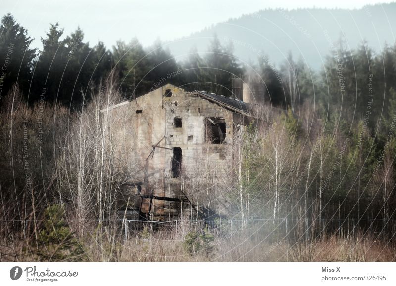 Zoomansicht RECHTES FENSTER ;-) Renovieren Herbst Nebel Wald Stadtrand Menschenleer Haus Ruine Fassade bedrohlich dunkel Stimmung Tod Ende Endzeitstimmung