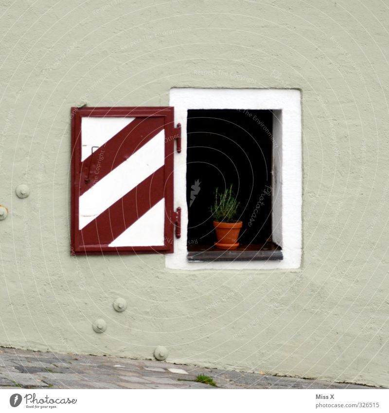 Fensterchen Ferien & Urlaub & Reisen Hütte Mauer Wand Sehenswürdigkeit alt historisch Regensburg offen Farbfoto Außenaufnahme Menschenleer Textfreiraum links