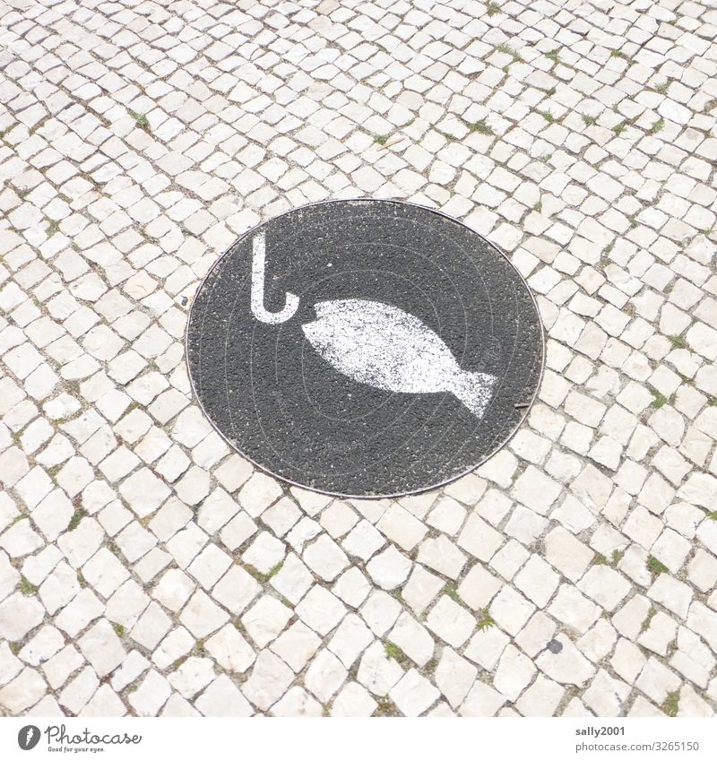 Angelplatz... Fisch Angeln fischen Straße Kopfsteinpflaster weiß Asphalt Angelhaken Zeichen Symbole & Metaphern Hinweisschild Schilder & Markierungen