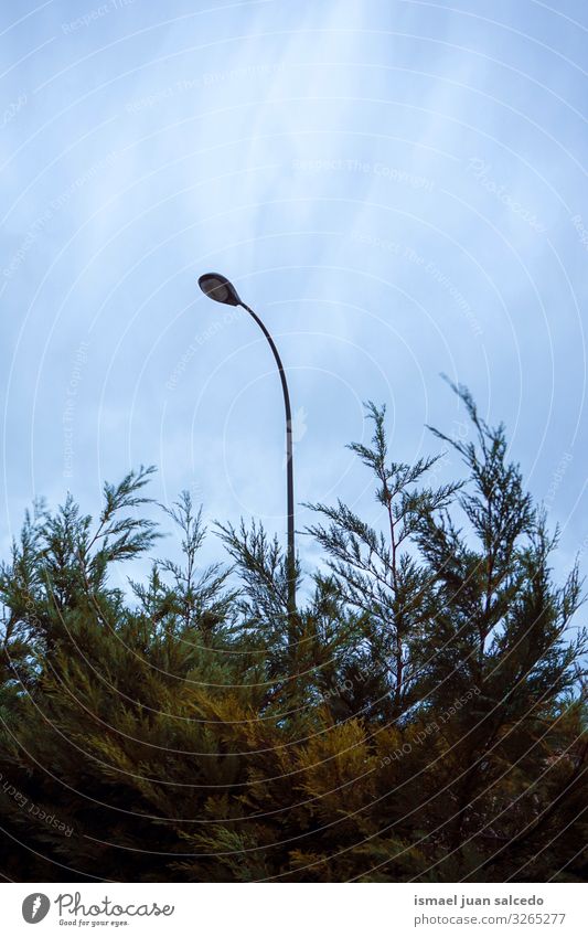 Straßenlaterne und blauer Himmel Peitschenlaterne Straßenleuchte Laternenpfahl Lampe Illumination Beleuchtungseinrichtungen Großstadt Metall Objektfotografie