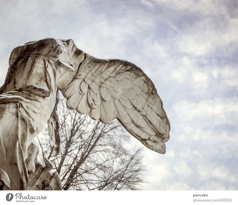 | Risiko 400 | Kunst Skulptur Kultur Urelemente Himmel Wolken Dekoration & Verzierung Stein Zeichen Engel Schloss Bekanntheit kalt kaputt stark feminin