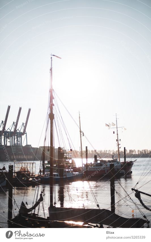 Schiffe im Sonnenlicht im Hamburger Hafen Schifsmasten Außenaufnahme maritim Gegenlicht Hafenstadt Schifffahrt Fluss Elbe hell Sonnenuntergang Wasser Himmel