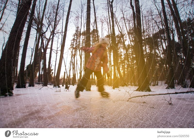 abkühlung Freizeit & Hobby Spielen Kinderspiel Ausflug Winter Schnee Winterurlaub Sport Fitness Sport-Training Mensch feminin Mädchen Kindheit Leben Körper 1