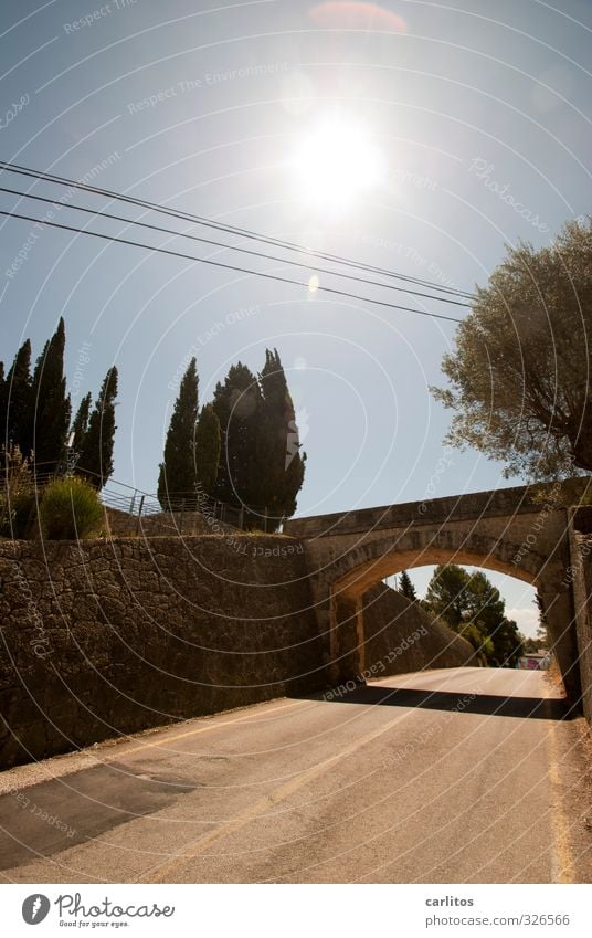 Auf Googles Spuren Schönes Wetter alt Straße Brücke Mauer Naturstein Neigung Kabel Baum mediterran Mallorca Ferien & Urlaub & Reisen Tunnelblick Farbfoto