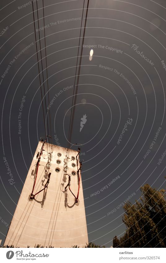 Der schiefe Turm von Inca Wolkenloser Himmel Sonnenlicht Schönes Wetter Wärme Baum bedrohlich Elektrizität Kabel Hochspannungsleitung umfallen Neigung