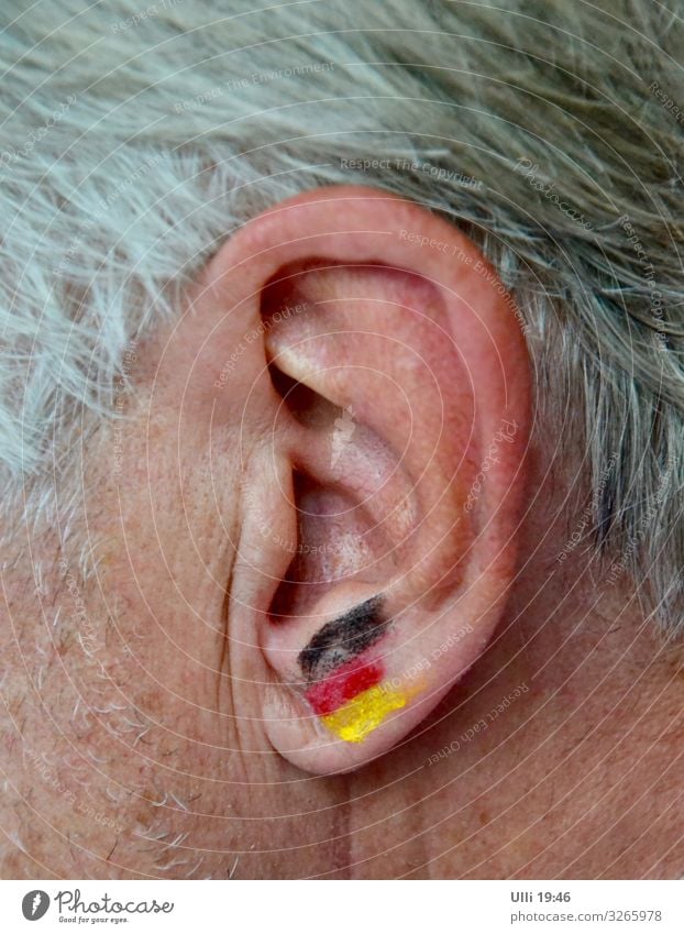 Fan von irgendeiner Nationalmannschaft. Haare & Frisuren Haut Schminke Sport Ballsport Publikum Fußball Männlicher Senior Mann Ohr 1 Mensch 60 und älter Kunst