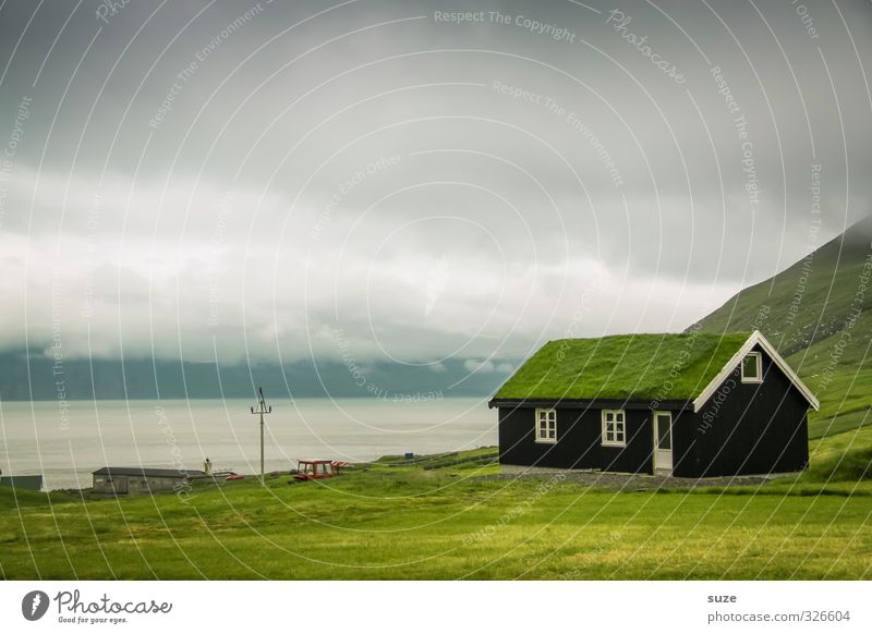 Öko-Hütte Häusliches Leben Wohnung Haus Umwelt Natur Himmel Wolken Gras Wiese Fenster Dach Wachstum kalt lustig nachhaltig natürlich verrückt grün Føroyar