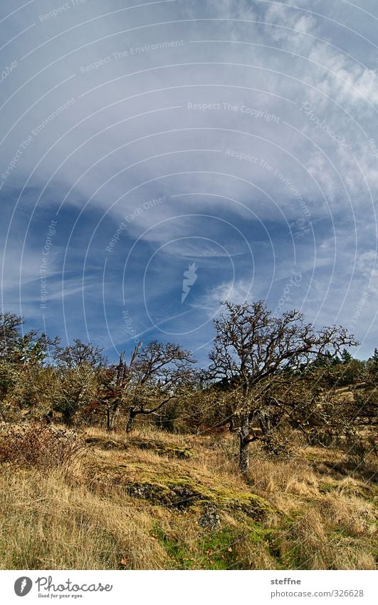 Hiking Natur Himmel Herbst Schönes Wetter Baum Hügel Berge u. Gebirge wandern Farbfoto Weitwinkel