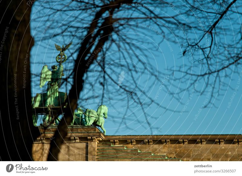 Quadriga Berlin Brandenburger Tor Großstadt Hauptstadt Stadtzentrum Portal Tourismus Wahrzeichen Menschenleer Textfreiraum Baum Baumstamm Ast Zweig Herbst