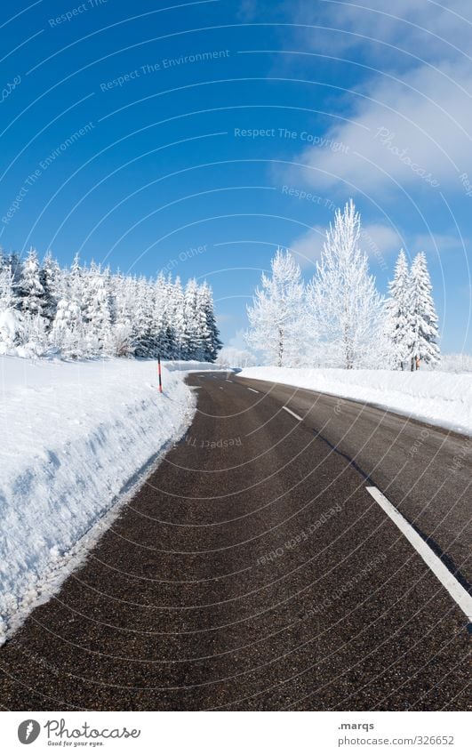 Ausflug Lifestyle Ferien & Urlaub & Reisen Tourismus Abenteuer Winter Schnee Winterurlaub Umwelt Natur Landschaft Himmel Schönes Wetter Baum Verkehr Straße