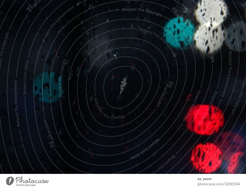 Lichter der Stadt Lifestyle Stil Design clubbing Umwelt Herbst Winter Regen Verkehr Personenverkehr Öffentlicher Personennahverkehr Berufsverkehr Straße