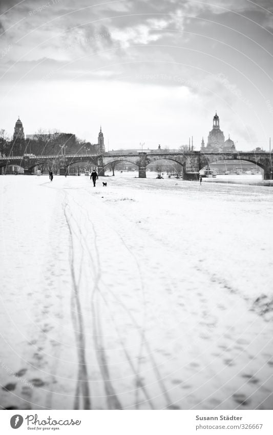 sonntagsspaziergang Landschaft Wolken Sonne Winter Schönes Wetter Schneefall Wiese Altstadt Skyline Kirche Platz Gelassenheit Brücke Dresden Frauenkirche Spuren