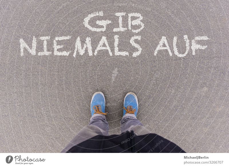 Füße auf Asphalt mit Gib Niemals Auf Motivationsspruch Mensch maskulin Fuß 1 Kommunizieren Erfolg Willensstärke Mut Tatkraft Text nie resignieren beenden Ferne