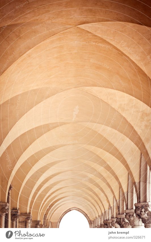 Rippchen Venedig Hafenstadt Stadtzentrum Palast Bauwerk Architektur Mauer Wand Arkaden kreuzrippengewölbe Säule Sehenswürdigkeit Denkmal Dogenpalast ästhetisch