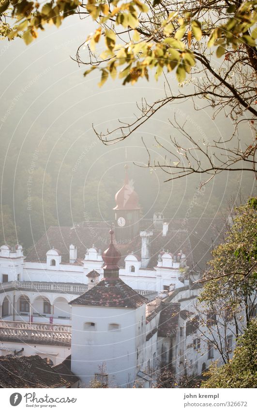 Schloss Herberstein Baum Park Burg oder Schloss Bauwerk Architektur Turm Sehenswürdigkeit alt ästhetisch historisch Wachsamkeit Kultur Nostalgie Schutz