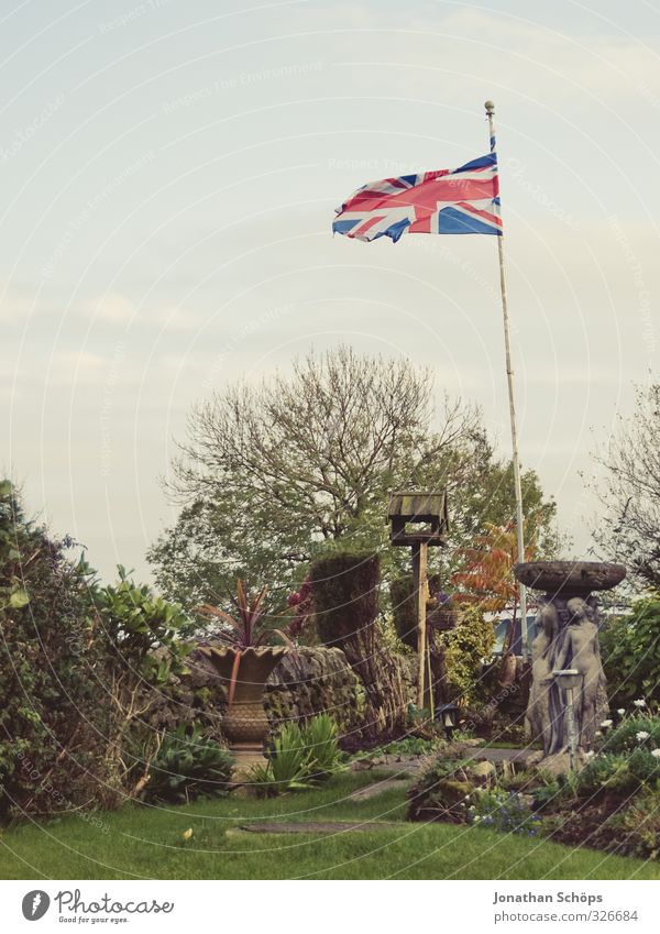 born in the UK II Umwelt Natur Landschaft Herbst Pflanze Gras Sträucher Grünpflanze grün Fahne Fahnenmast wehen Wind Großbritannien Patriotismus Garten Himmel