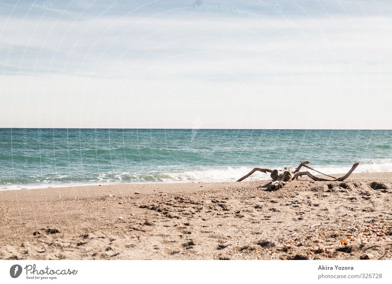 Meet the Ocean II Natur Sand Wasser Himmel Wolken Horizont Sommer Schönes Wetter Wellen Küste Strand Meer Schwimmen & Baden berühren Erholung genießen nass blau