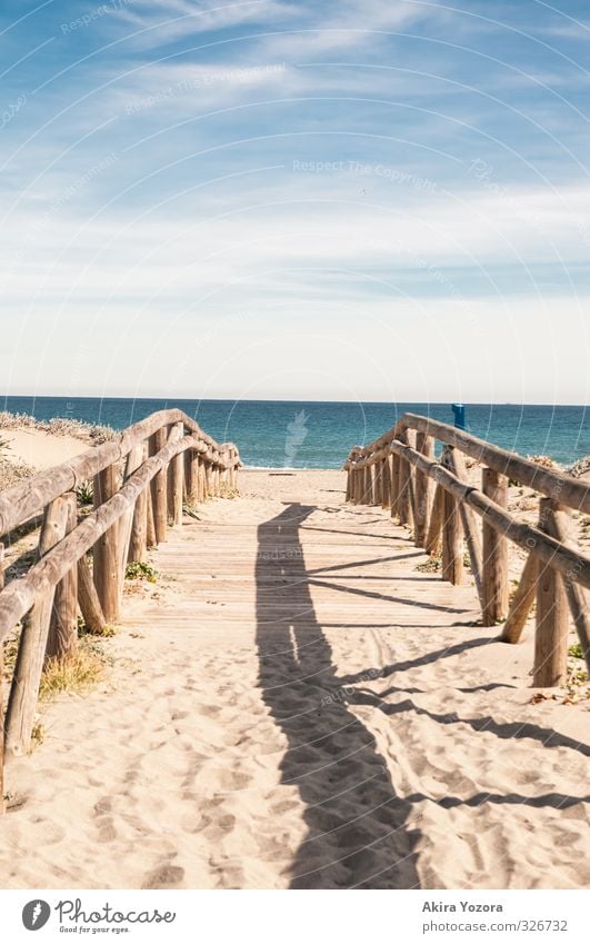 Zum Meer hin Natur Landschaft Sand Wasser Himmel Wolken Sommer Schönes Wetter Küste Strand Schwimmen & Baden entdecken Erholung nass blau braun gelb