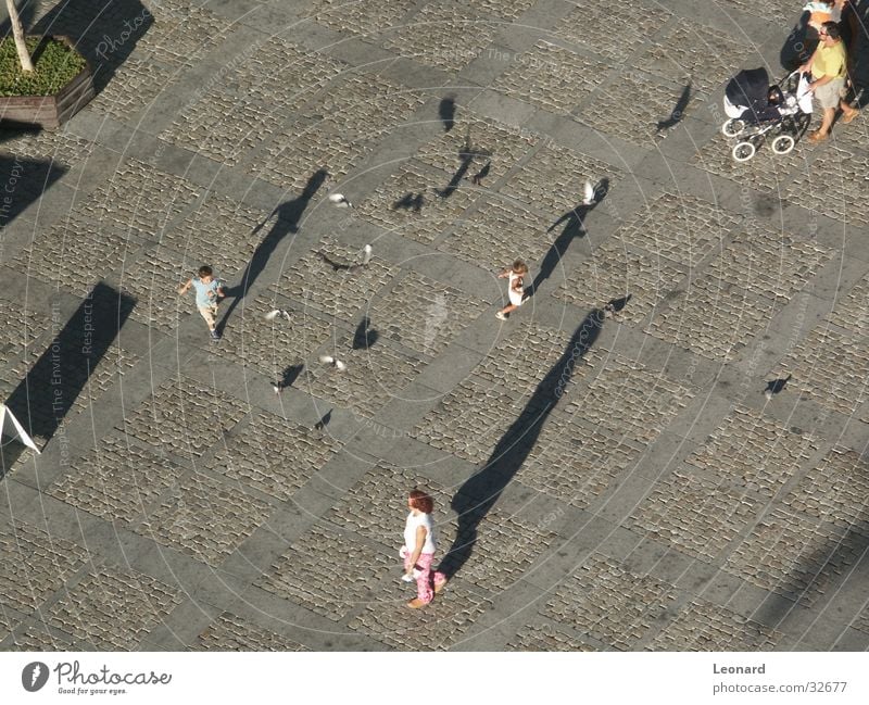 Schatten Mensch Etage Kind Taube Vogel Menschengruppe Boden Bewegung Ecke