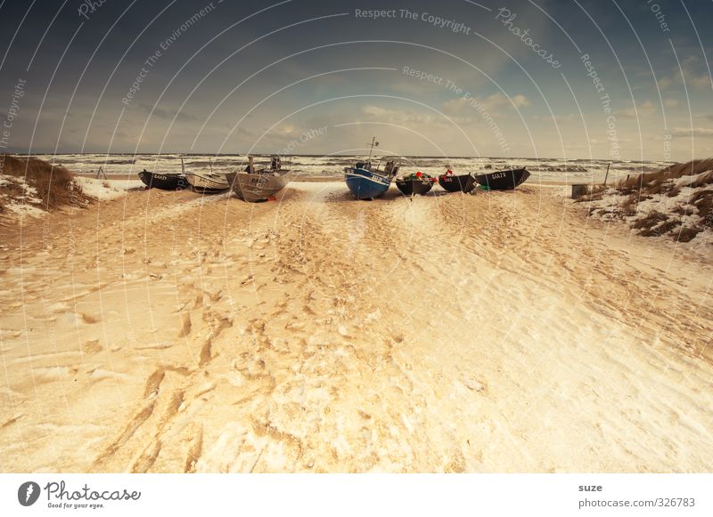 Die glorreichen Sieben Zufriedenheit ruhig Ferien & Urlaub & Reisen Ausflug Ferne Freiheit Strand Meer Winter Schnee Ruhestand Natur Landschaft Sand Himmel