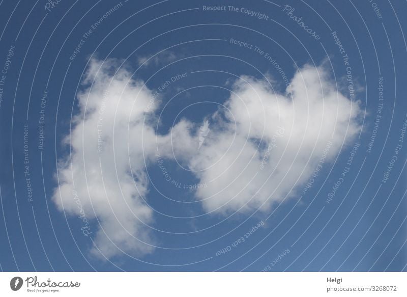 tanzende Wolken vor blauem Himmel Umwelt Natur Frühling Schönes Wetter Bewegung fliegen Tanzen außergewöhnlich Zusammensein einzigartig natürlich weiß bizarr