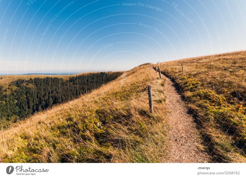 Auf dem Weg Wege & Pfade Landschaft Wolkenloser Himmel Natur Wiese ländlich Freiheit Erholung Hügel Schönes Wetter Sommer Ausflug Tourismus Ziel Holzpfahl