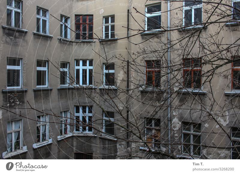 Hinterhof Berlin Prenzlauer Berg Stadt Hauptstadt Stadtzentrum Altstadt Menschenleer Haus Mauer Wand Fenster Häusliches Leben Baum Winter Farbfoto Außenaufnahme