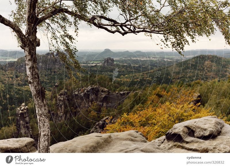 Weitsicht Ferien & Urlaub & Reisen Tourismus Ausflug Abenteuer Ferne Freiheit Berge u. Gebirge wandern Umwelt Natur Landschaft Herbst Wind Baum Wald Felsen