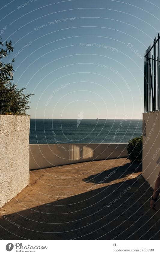 ins blau Ferien & Urlaub & Reisen Ferne Freiheit Sommer Sommerurlaub Meer Himmel Wolkenloser Himmel Schönes Wetter Portugal Mauer Wand Wege & Pfade Erholung