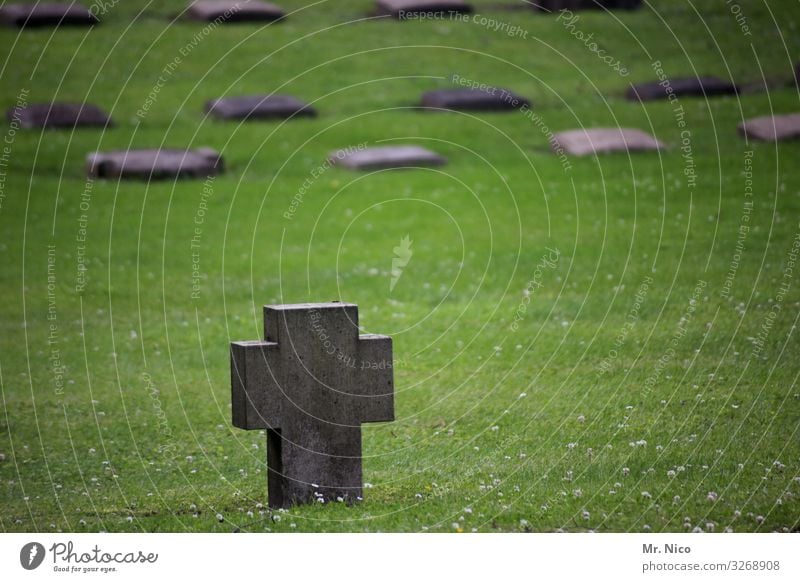 Gegen das Vergessen Wiese Traurigkeit Trauer Tod Einsamkeit Kreuz Grab Grabstein Grabmal Soldatenfriedhof Friedhof vergessen Verzweiflung Abschied Beerdigung