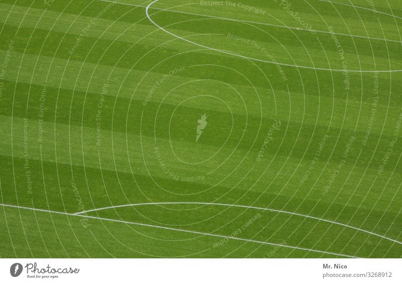 Mittelfeld Freizeit & Hobby Sport Ballsport Sportstätten Sportveranstaltung Fußballplatz Stadion Gras grün Rasen Sportrasen Linie Fußballvereine rasenmähen