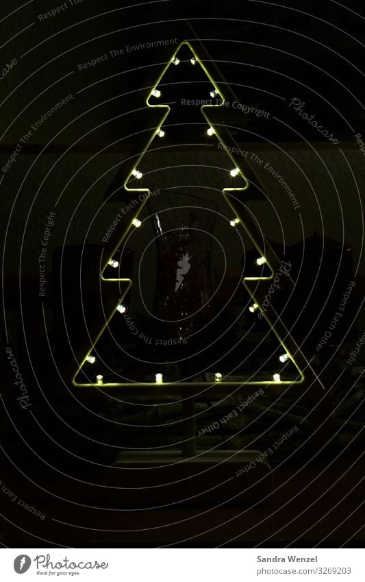Oh Tannenbaum.. Winter Baum leuchten Weihnachtsbaum Weihnachten & Advent Beleuchtungselement Gedeckte Farben Innenaufnahme Experiment Menschenleer