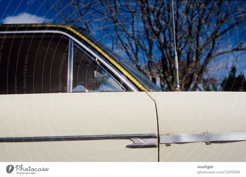 glitzer Schönes Wetter Fahrzeug PKW Oldtimer alt retro chevy Gold glänzend Glamour Farbfoto Außenaufnahme Licht Schatten Sonnenlicht Blick nach oben