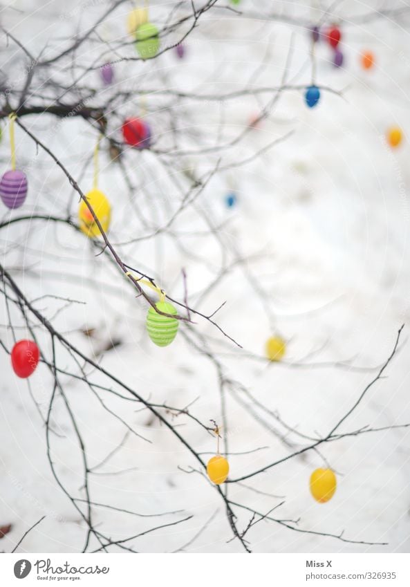 Frühling Feste & Feiern Ostern Schnee mehrfarbig Osterei Dekoration & Verzierung Einsamkeit hängen Plastikeier Ast Zweig Sträucher Farbfoto Außenaufnahme