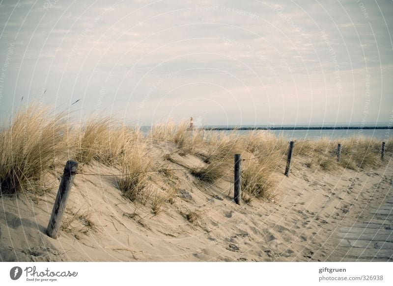 sonne.strand.meer Umwelt Natur Landschaft Urelemente Sand Wasser Himmel Wolken Schönes Wetter Gras Küste Strand Ostsee Meer Lebensfreude Warnemünde Leuchtturm