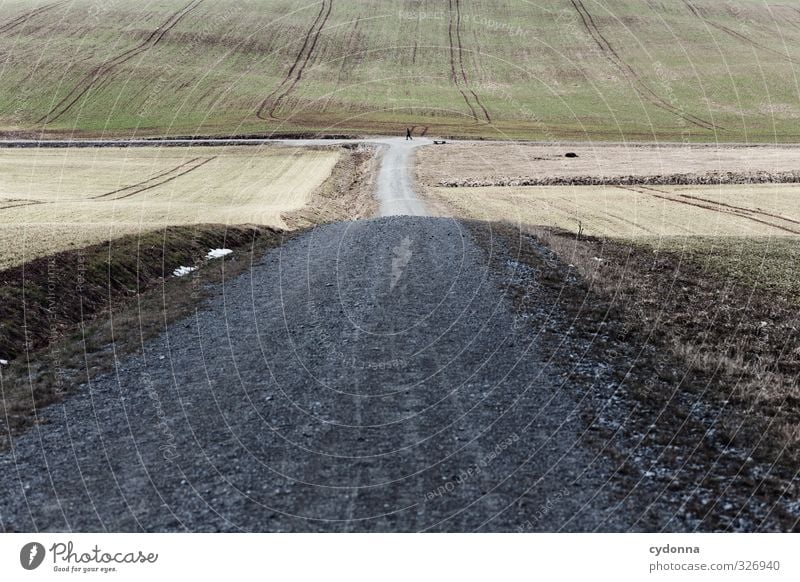 Ein weites Feld Ausflug Ferne Freiheit wandern Mensch 1 Umwelt Natur Landschaft Erde Frühling Winter Wiese Hügel Wege & Pfade Wegkreuzung ästhetisch Bewegung