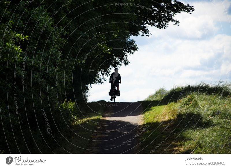 Tour im Grünen Ausflug Wolken Sommer Schönes Wetter Baum Wiese Hügel Erholung fahren Bewegung Freizeit & Hobby Mobilität Natur Wege & Pfade Fahrradfahren