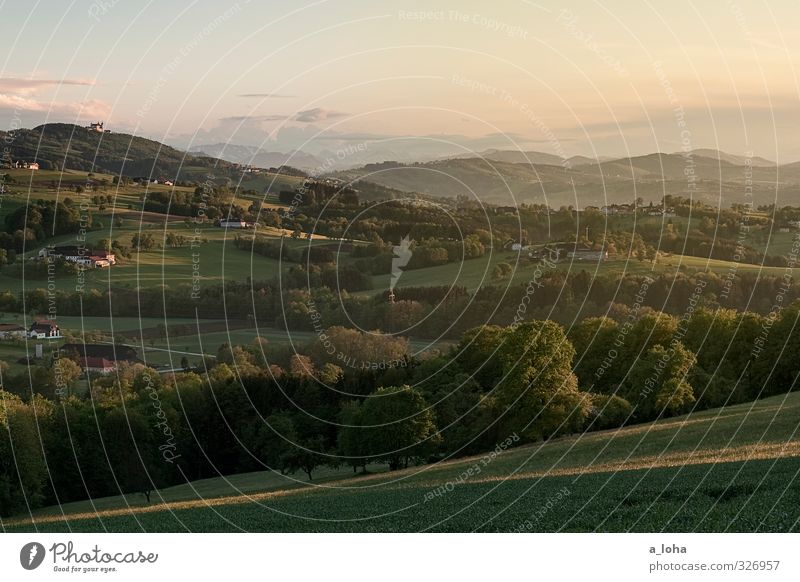 from dusk till dawn Umwelt Natur Landschaft Pflanze Himmel Wolken Horizont Sonne Sonnenaufgang Sonnenuntergang Frühling Schönes Wetter Baum Gras Wiese Wald