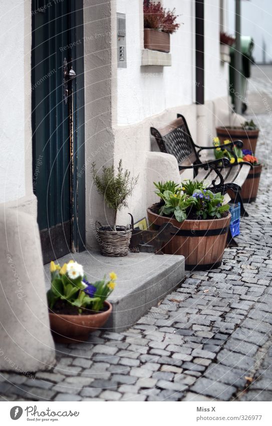 Deko Ferien & Urlaub & Reisen Tourismus Häusliches Leben Dekoration & Verzierung Blume Topfpflanze Blühend Ulm Bank Tür Farbfoto Gedeckte Farben Außenaufnahme