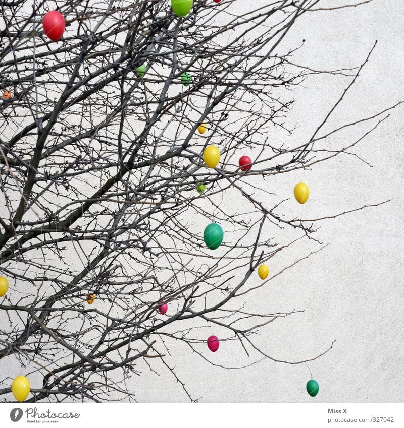 Ostern Frühling Baum Sträucher hängen mehrfarbig Osterei Dekoration & Verzierung Ast Zweig Farbfoto Außenaufnahme Muster Menschenleer Textfreiraum rechts