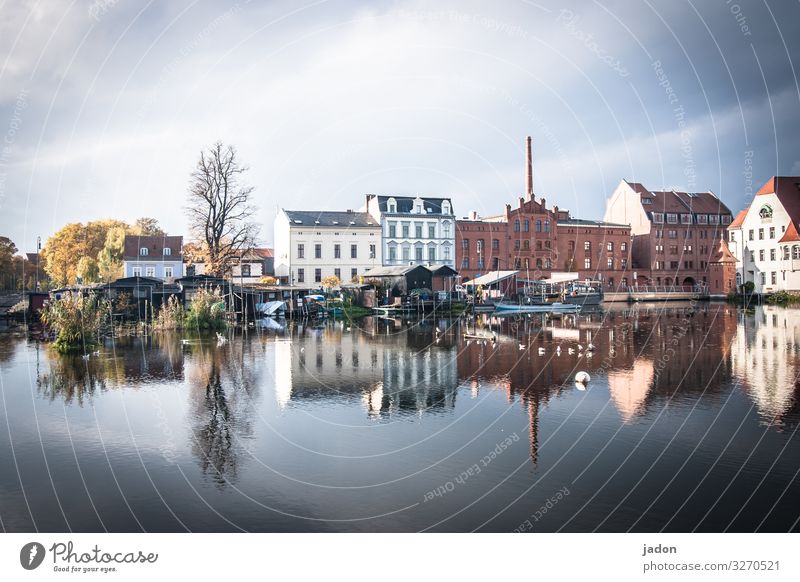 die stadt im fluss (5). Lifestyle elegant Stil Tourismus Sightseeing Natur Wasser Himmel Schönes Wetter Baum Flussufer Bucht Brandenburg an der Havel