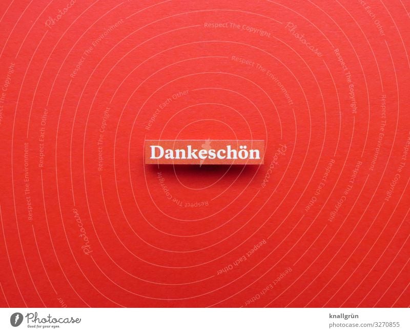 Dankeschön Dankbarkeit dankbar danke schön danken Höflichkeit Buchstaben Wort Satz Letter Schriftzeichen Gefühle Text Kommunikation Sprache Typographie