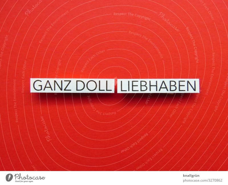 Ganz doll liebhaben Liebe Gefühle Verliebtheit Romantik Valentinstag Muttertag Sympathie Zusammensein Freundschaft Glück Wort Buchstaben Satz Typographie Letter