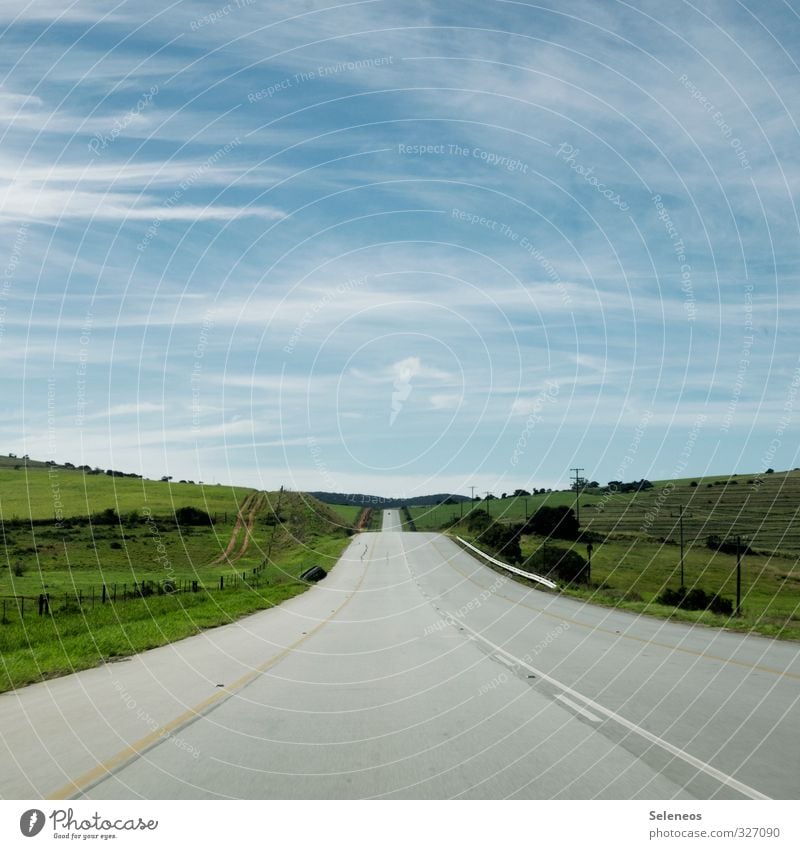 Straßenbahn Ausflug Umwelt Natur Landschaft Himmel Wolken Horizont Schönes Wetter Gras Sträucher Wiese Verkehr Verkehrswege Wege & Pfade fahren Ferne Einsamkeit