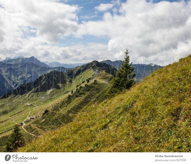 Blick vom Walmendingerhorn 2 Ferien & Urlaub & Reisen Tourismus Freiheit Berge u. Gebirge Natur Landschaft Himmel Wolken Herbst Schönes Wetter Baum Gras