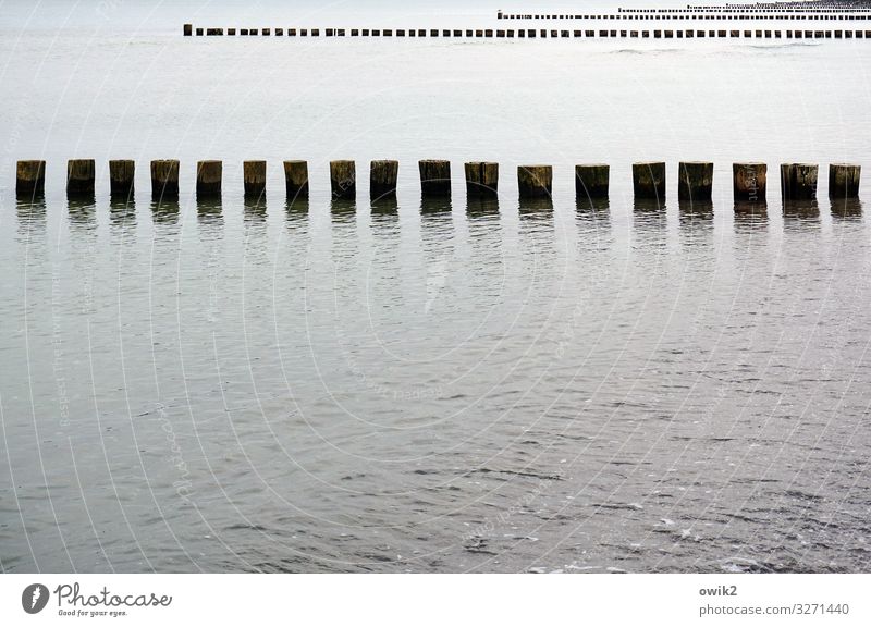 Gleichheitsgrundsatz Umwelt Natur Landschaft Wasser Schönes Wetter Küste Ostsee Buhne Holzpfahl viele Identität Ordnung Reihe Uferbefestigung parallel